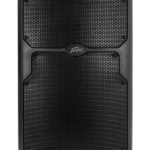 Peavey PVX 15