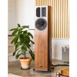 Apertura - EDENA Evolution - 2 Ways, 2 Drive Units, Floor-Standing Loudspeaker - Image 12
